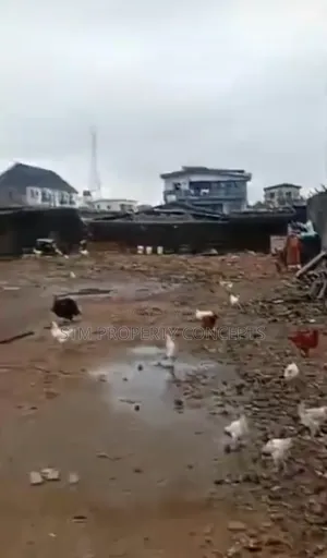 Cikakken Filin Ƙasa Don Siyarwa a Sawmill Gbagada