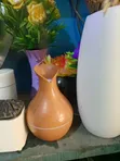 Peter Reed Electric Diffuser - Brand New - 4