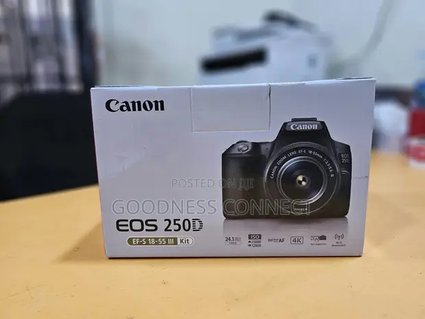 Canon EOS 250D DSLR Kit da 18-55mm Lens - 1