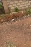 Residential Plot for Sale in Owo Eba Estate, Mowe Ibafo - 2