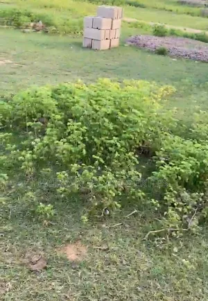 Residential Land for Sale in Kumataka Jaba Kano