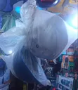 Brand New Safety Helmet - 1
