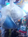 Brand New Safety Helmet - 2