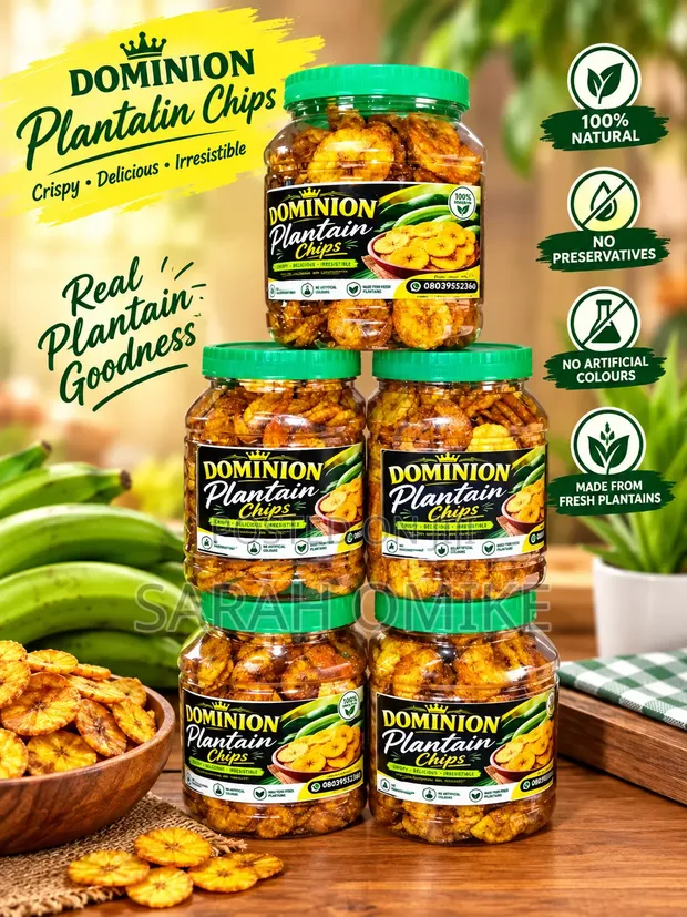 Dominion Plantain Chips - 1