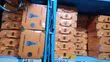 Brand New LED Bulb for All Car Models - 2