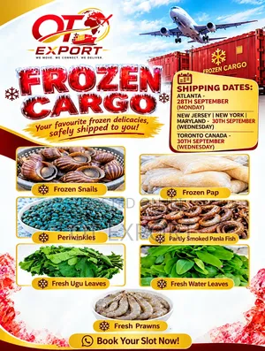 OT Export: Frozen Cargo Shipping to Canada, USA, UK
