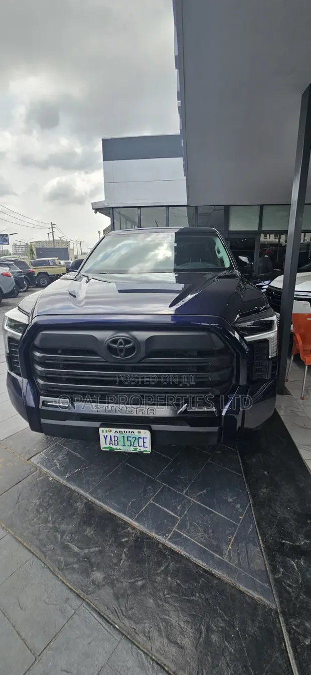 Toyota Tundra 2024 Blue - 1