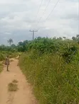 Multipurpose Land for Sale in Mbiokporo, Uyo - 1
