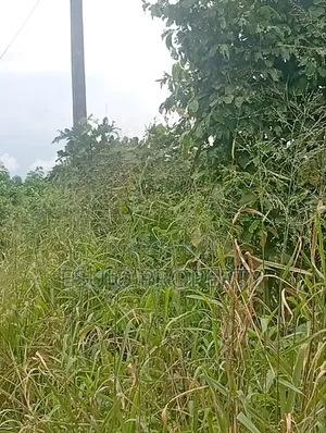 Multipurpose Land for Sale in Mbiokporo, Uyo