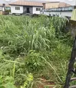 Filin Zama don Siyarwa - Gbaga, Titin Ijede, Elepe - 4