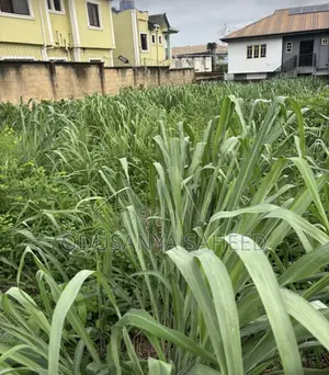 Filin Zama don Siyarwa - Gbaga, Titin Ijede, Elepe