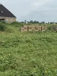 50x100ft Undeveloped Land for Sale in Osogbo, Osun - 1