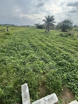 Filin 50x100ft na Siyarwa a Osogbo, Osun