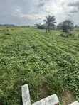 50x100ft Undeveloped Land for Sale in Osogbo, Osun - 2