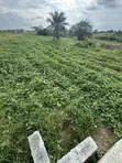 50x100ft Undeveloped Land for Sale in Osogbo, Osun - 5