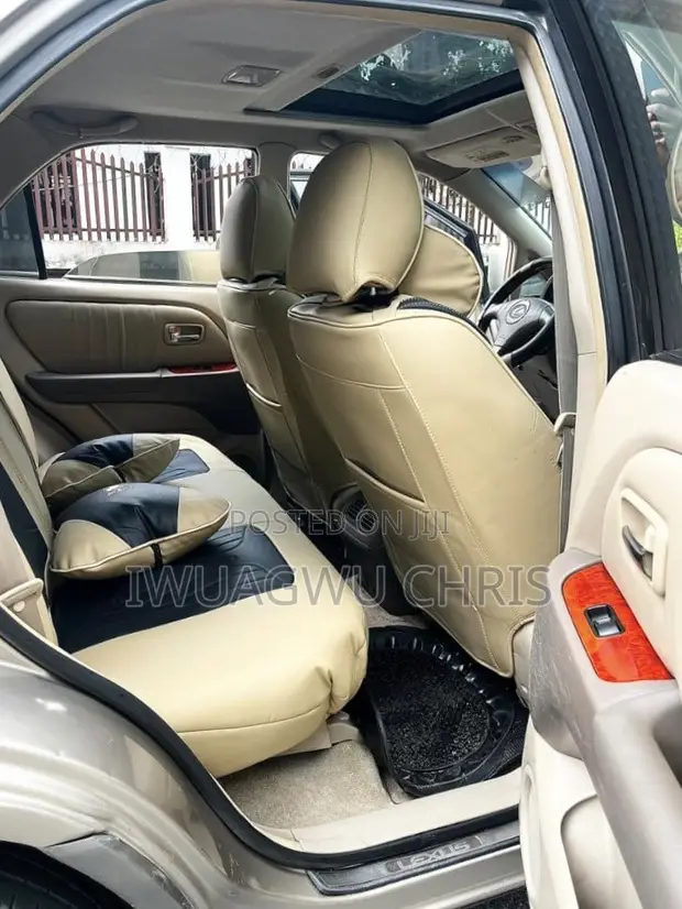 Lexus RX 300 2003 Gray - 1