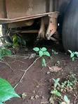 70 Ton Double Axle Lowbed Trailer - Construction Use - 3