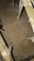 Sabis na Fumigation na Anti-Termite da Woodborer - 2