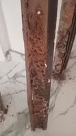 Sabis na Fumigation na Anti-Termite da Woodborer - 3