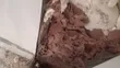 Sabis na Fumigation na Anti-Termite da Woodborer - 4