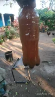 Pure Rabbit Urine Manure Fertilizer - 1