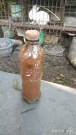Pure Rabbit Urine Manure Fertilizer - 4