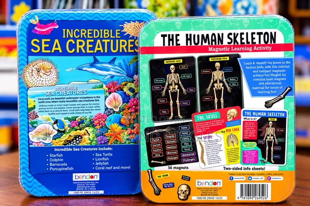Educational Magnetic STEM Sets (Ages 7+) - 1