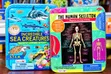 Educational Magnetic STEM Sets (Ages 7+) - 2