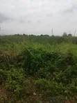 Commercial Land for Sale on Ikorodu Road, Lagos - 2