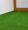 Artificial Grass Carpet - 2