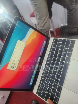 Apple MacBook 8GB RAM 256GB SSD