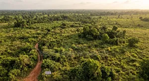 Massive 103 Hectares Land for Sale in Uyo