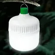 30W Rechargeable LED Bulb, Emergency Lamp - 5