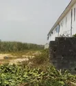 Joint Venture Land for Developers in Thomas Estate, Ajah (1200sqm) - 1