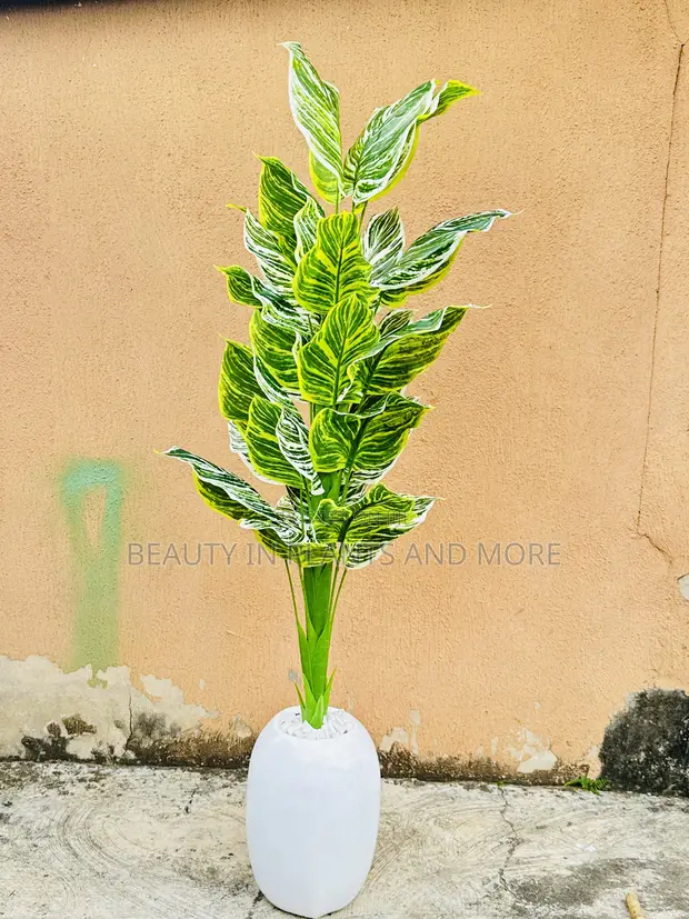 Zebra Tree and Mini Egg Pot Combo - 1