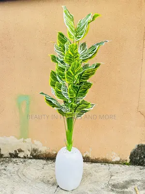 Zebra Tree and Mini Egg Pot Combo