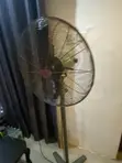 OX Standing Fan - 1