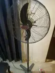 OX Standing Fan - 2