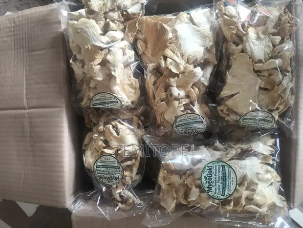 Premium Dried Oyster Mushrooms - 1