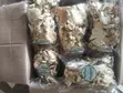 Premium Dried Oyster Mushrooms - 1