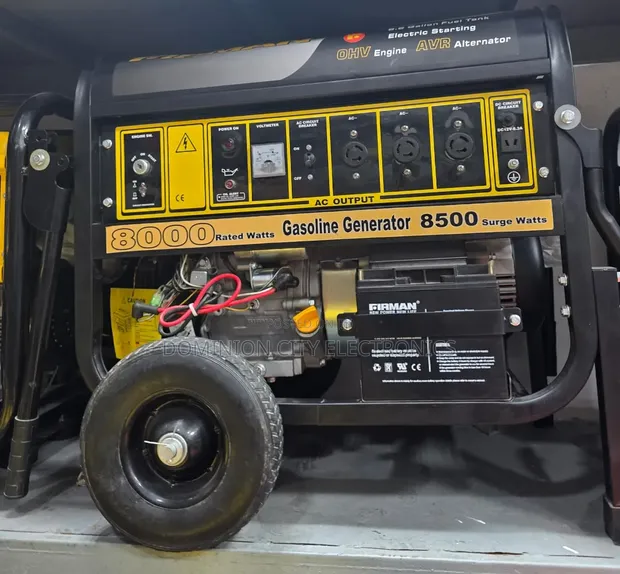 Firman FPG8800E2 Petrol Generator 8.5kVA 100% Copper Coil - 1