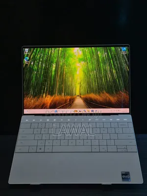 Dell XPS 13 Laptop - 32GB RAM, 512GB SSD, Intel Core i7