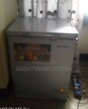 Skyrun Chest Freezer