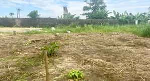 3 Plots na Ƙasa don Siyarwa - Igwurita, Port-Harcourt