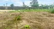 3 Plots na Ƙasa don Siyarwa - Igwurita, Port-Harcourt - 1