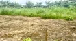 3 Plots na Ƙasa don Siyarwa - Igwurita, Port-Harcourt - 2