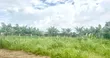3 Plots na Ƙasa don Siyarwa - Igwurita, Port-Harcourt - 3