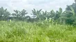 3 Plots na Ƙasa don Siyarwa - Igwurita, Port-Harcourt - 4