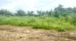 3 Plots na Ƙasa don Siyarwa - Igwurita, Port-Harcourt - 5