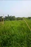 12 Filaye na Ƙasa da ke Fuskantar Lekki-Epe Express a Alasia - 2